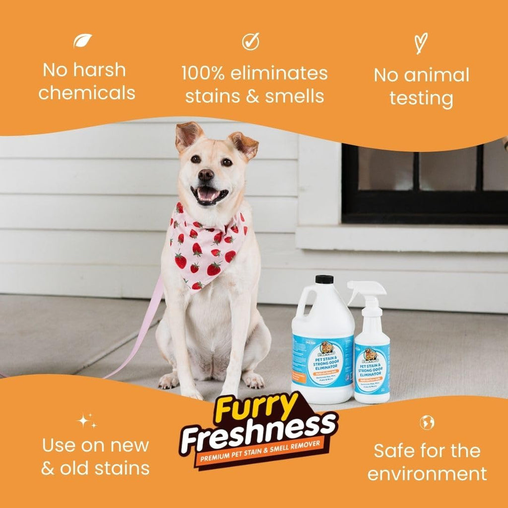 FurryFreshness Extra Strength Cat or Dog Pee Stain & Permanent Odor Remover + Smell Eliminator -Removes Stains from Pets & Kids Including Urine, Blood or Accidents - Carpet+ Solution Lifts Old Stains