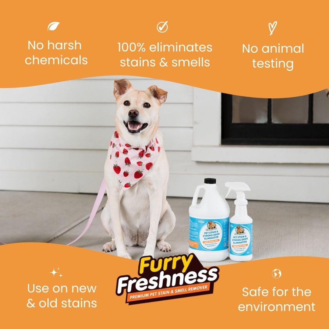 FurryFreshness Extra Strength Cat or Dog Pee Stain & Permanent Odor Remover + Smell Eliminator -Removes Stains from Pets & Kids Including Urine, Blood or Accidents - Carpet+ Solution Lifts Old Stains
